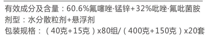 靓无双组合 靓无双组合