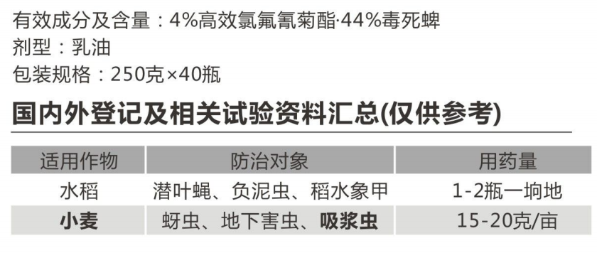 功夫·毒 功夫·毒