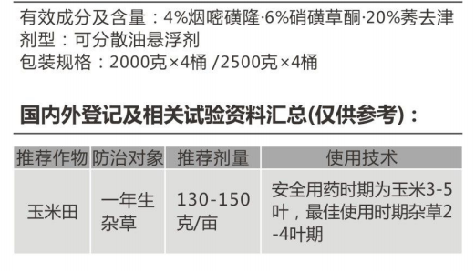 冰晶玉美 冰晶玉美