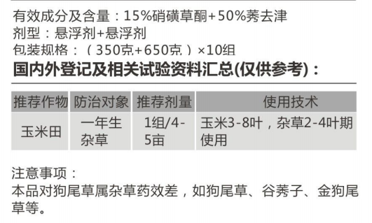 晓光埂洁 晓光埂洁
