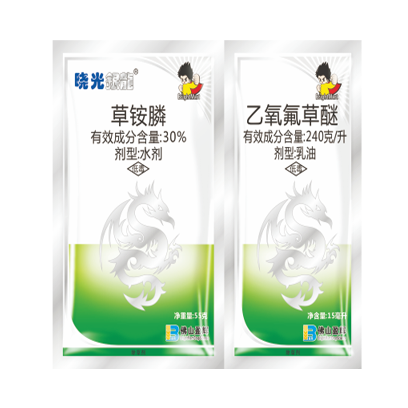 晓光银龙 晓光银龙