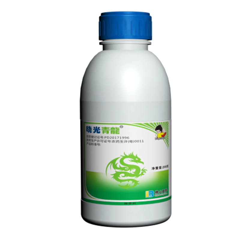 晓光青龙 晓光青龙