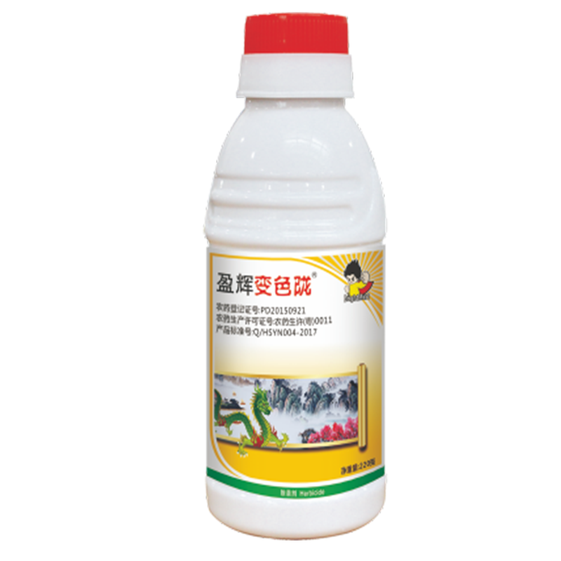 盈辉变色陇 盈辉变色陇