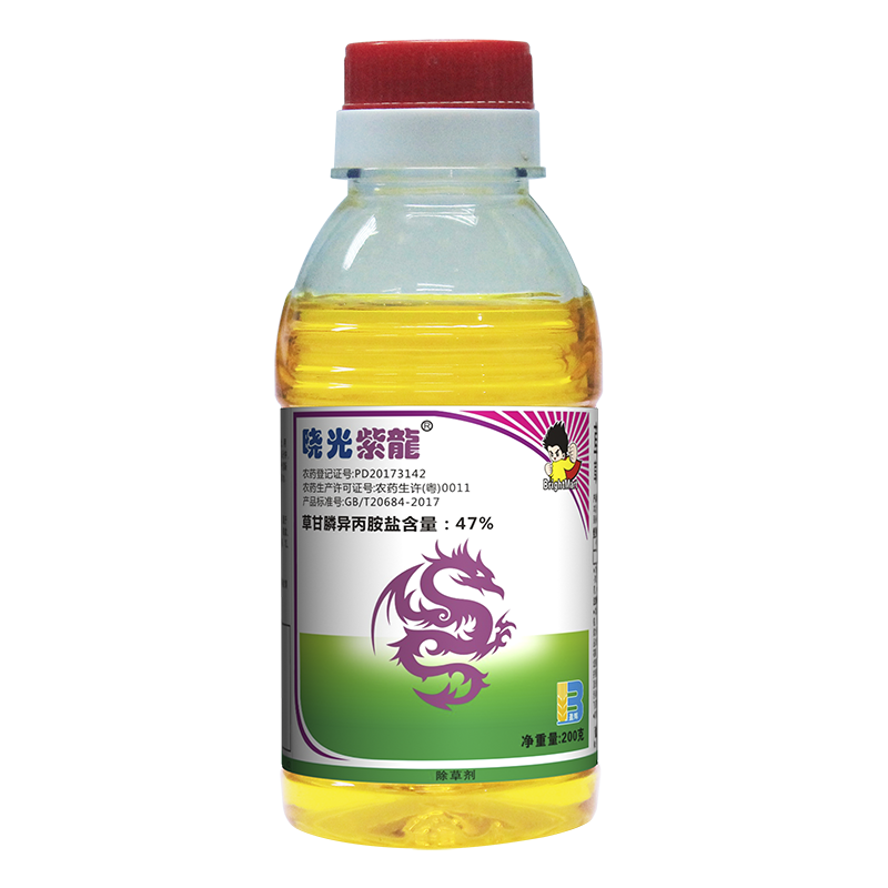 晓光紫龙 晓光紫龙