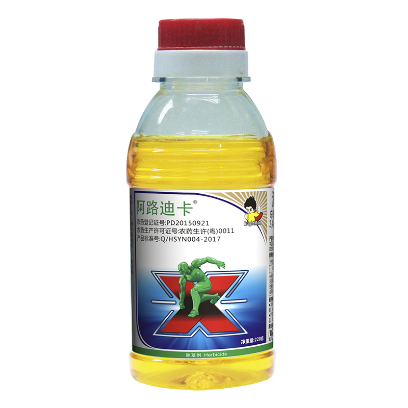 阿路迪卡 阿路迪卡